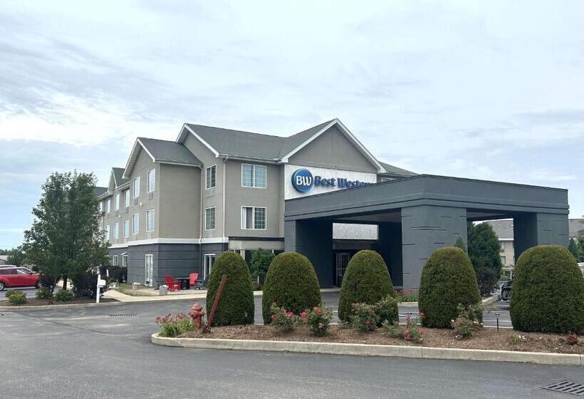 فندق Best Western Erie Inn & Suites