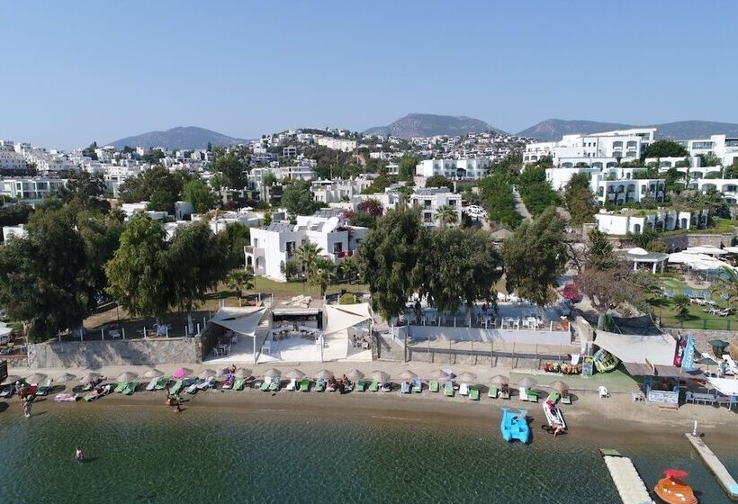 فندق Gumbet Cove