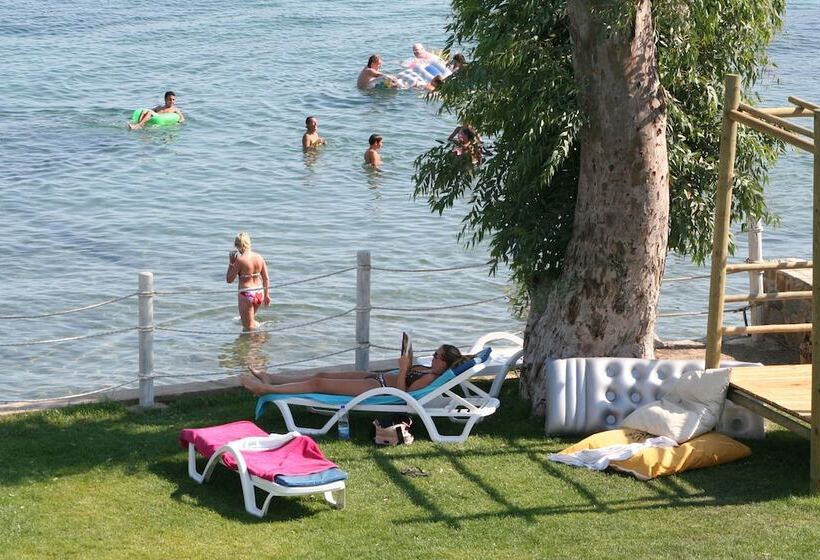 فندق Gumbet Cove