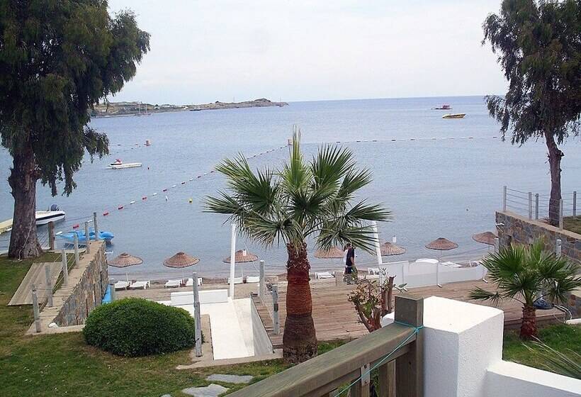 فندق Gumbet Cove