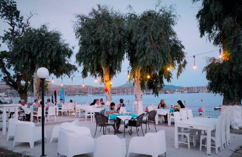 فندق Gumbet Cove