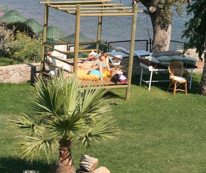 فندق Gumbet Cove