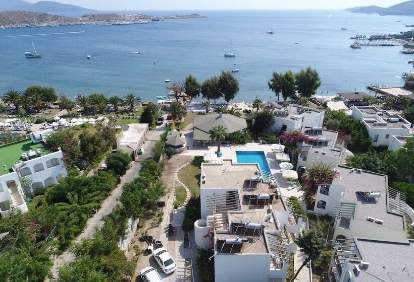 فندق Gumbet Cove