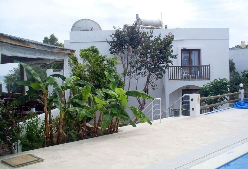 فندق Gumbet Cove