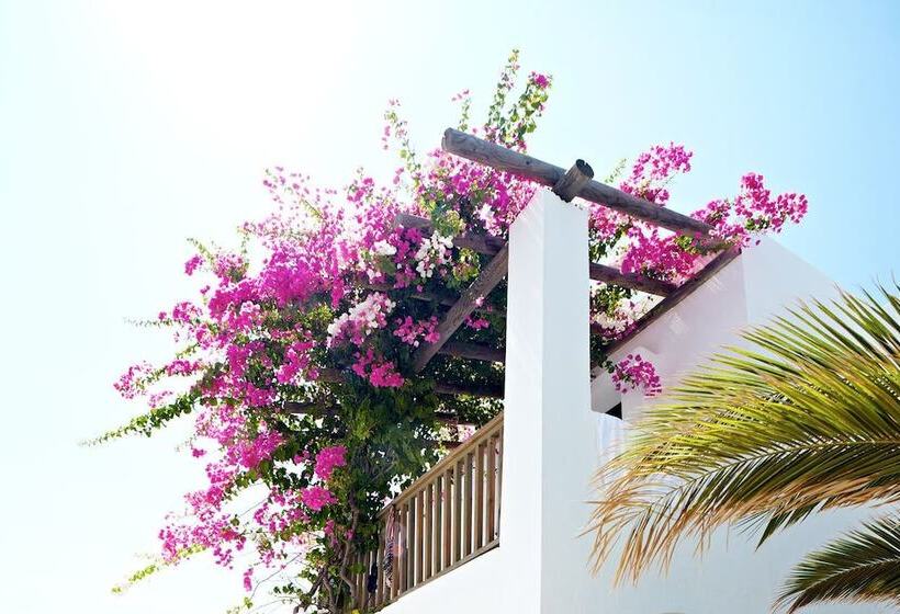فندق Gumbet Cove