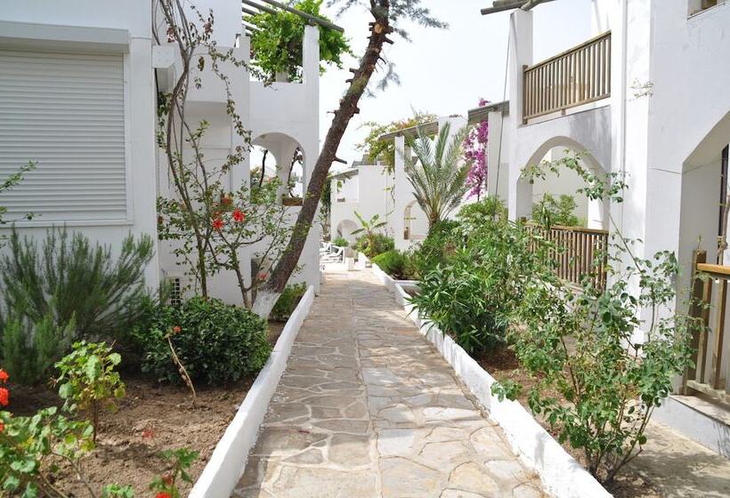 فندق Gumbet Cove