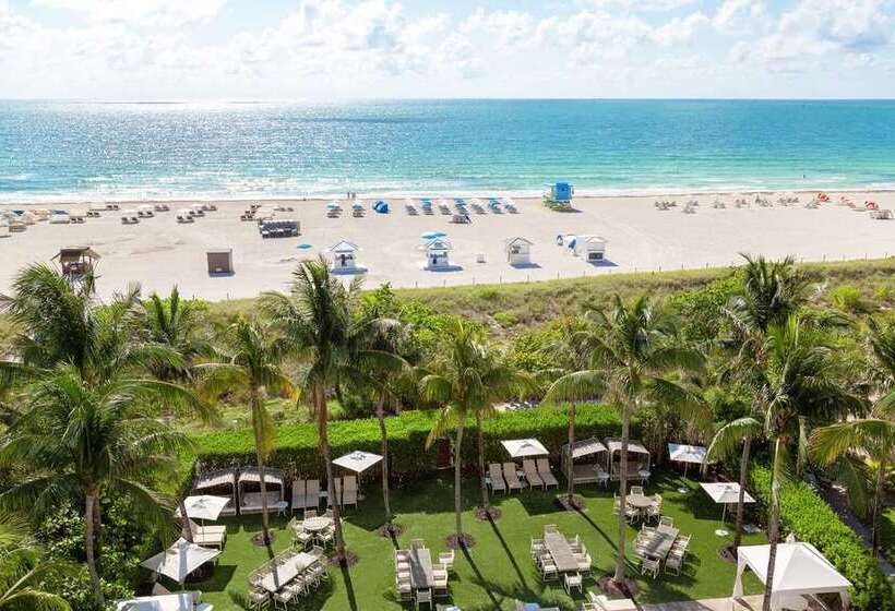 ホテル Hilton Bentley Miami/south Beach