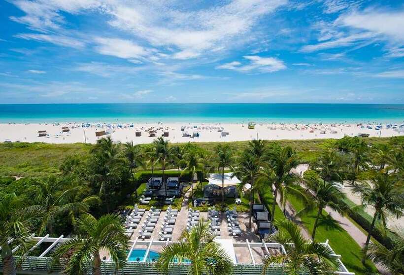 ホテル Hilton Bentley Miami/south Beach