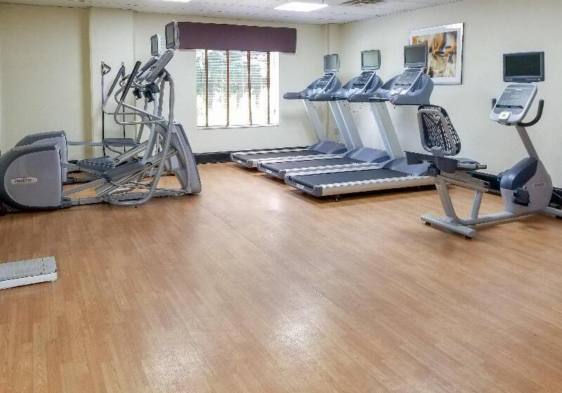 Holiday Inn Express Hotel & Suites Orange City   Deltona, An Ihg