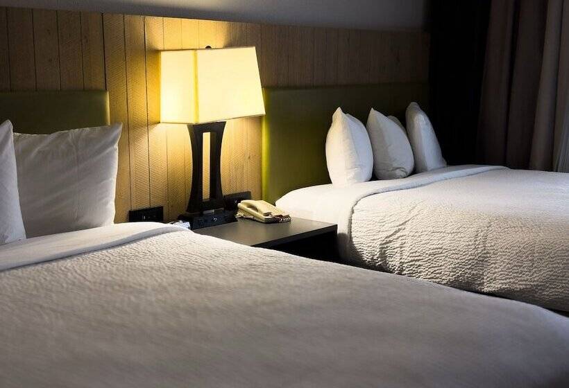 فندق Radiant Inn And Suites