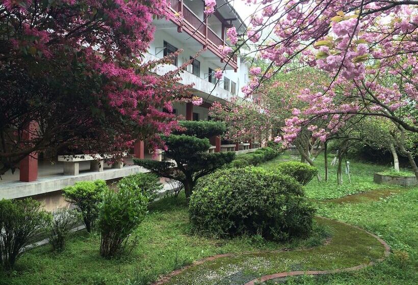 Отель Hunan New Pipaxi