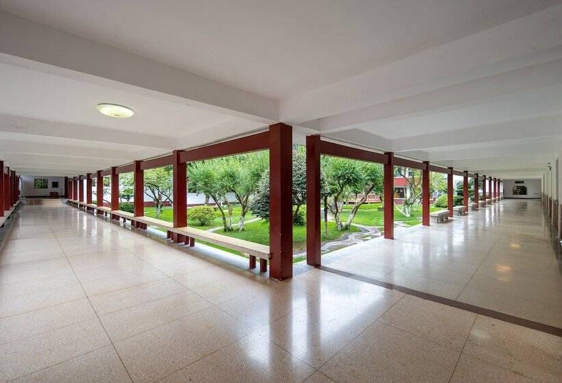 Отель Hunan New Pipaxi