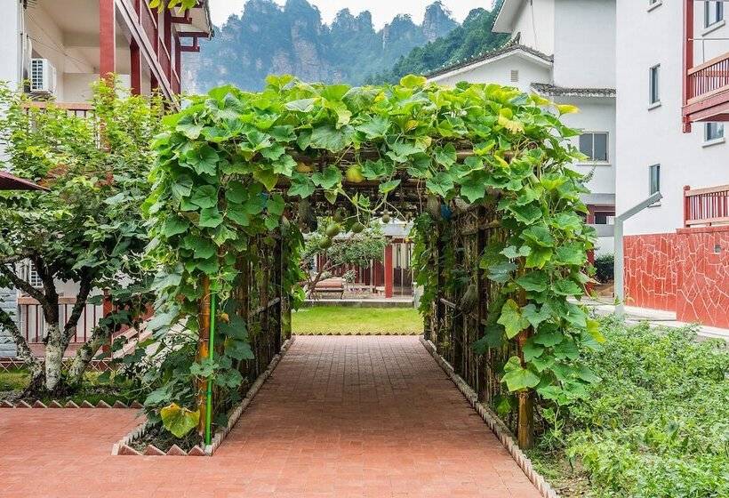 Отель Hunan New Pipaxi