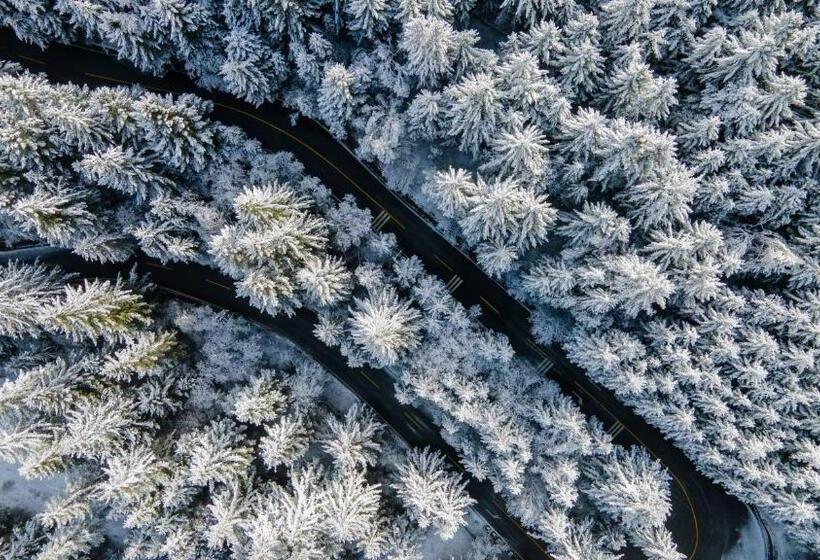 Отель Intercontinental Resort Jiuzhai Paradise, An Ihg