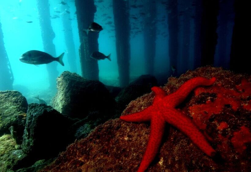 Korumar Hotel Deluxe