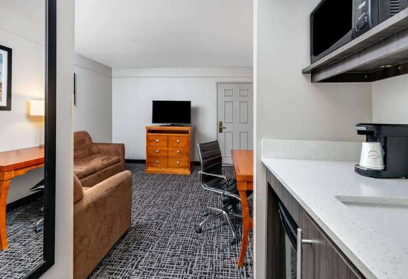 酒店 La Quinta By Wyndham Rockwall