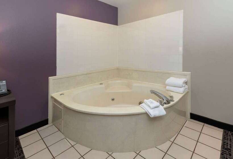 酒店 La Quinta By Wyndham Rockwall