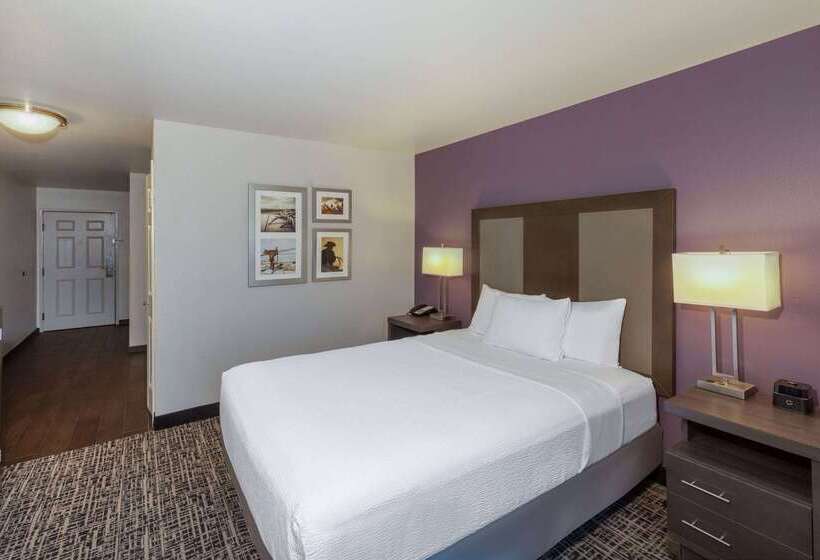 酒店 La Quinta By Wyndham Rockwall