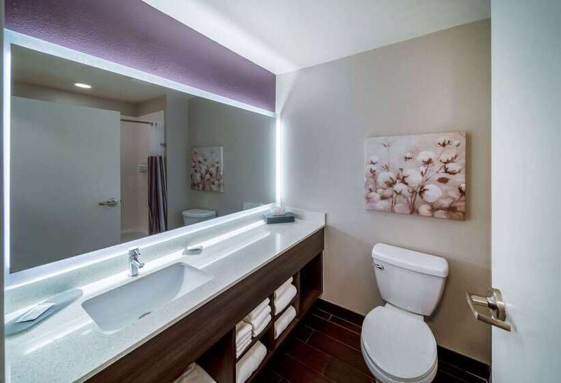 酒店 La Quinta By Wyndham Rockwall