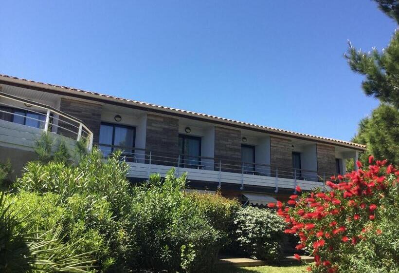 호텔 Le Phoebus Garden & Spa