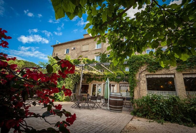 هتل Logis Vignes Blanches Hôtel Cosy Et Restaurant De Terroir
