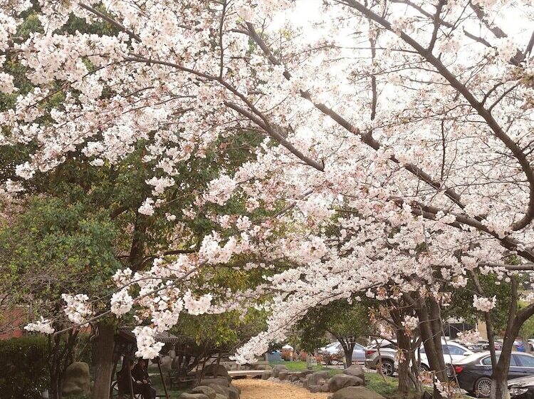 Maritim Hotel Taicang Garden