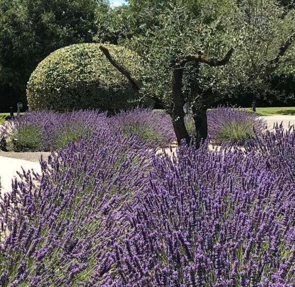 فندق Mas De La Senancole