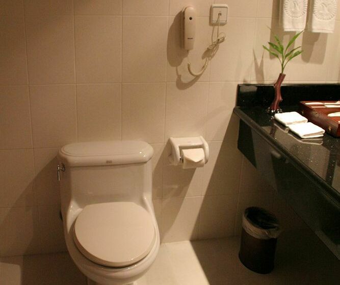 酒店 New Southasia