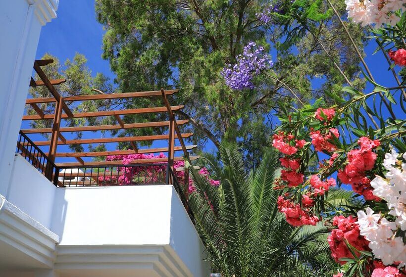 酒店 Marvida Senses Very Chic Bodrum Adult Only