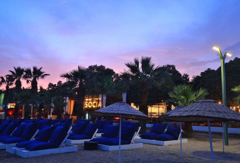 酒店 Marvida Senses Very Chic Bodrum Adult Only