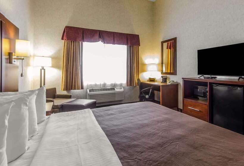 فندق Quality Inn
