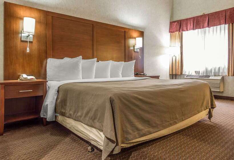 فندق Quality Inn