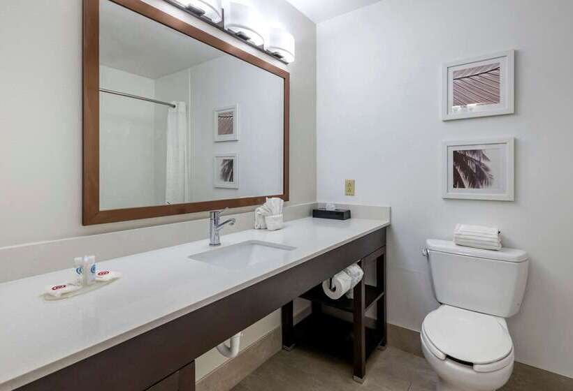 فندق Spark By Hilton St. Augustine I 95