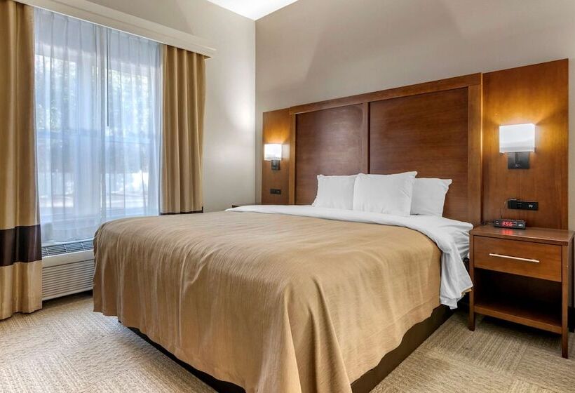 فندق Spark By Hilton St. Augustine I 95