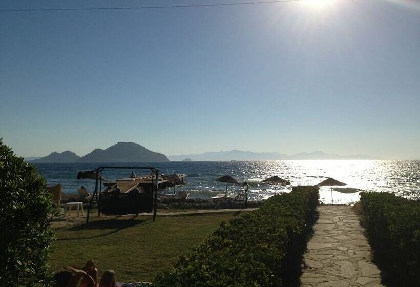 Отель Sun And Sea Beach