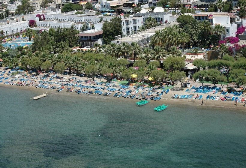 Sami Beach Hotel  All Inclusive
