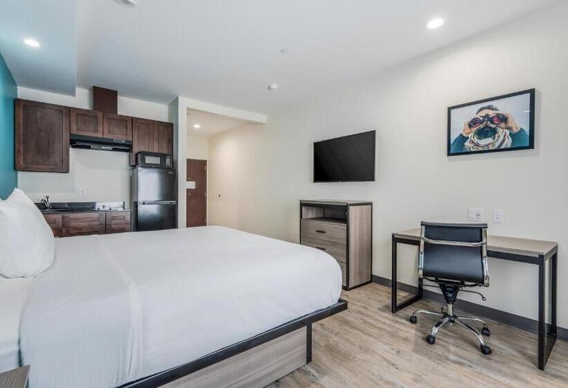 ホテル Red Lion Inn & Suites Katy