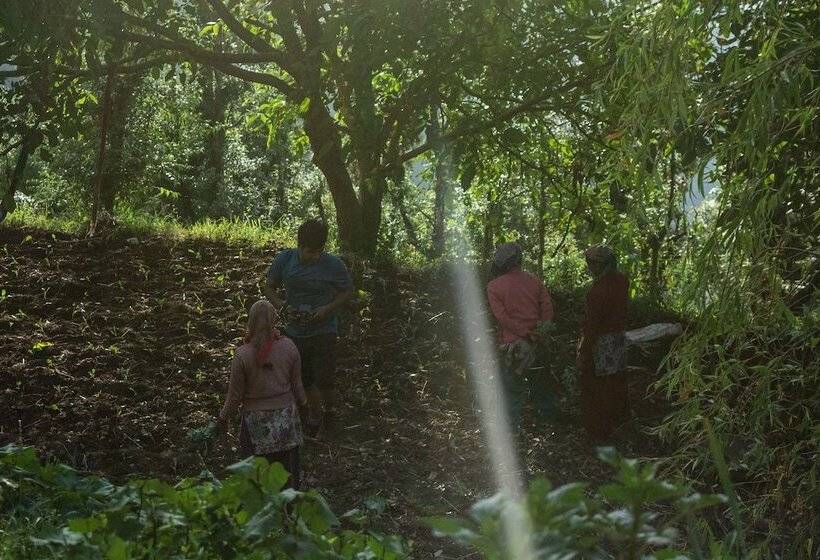 호텔 The Goat Village Escape