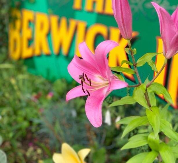 膳宿费 The Berwick Inn