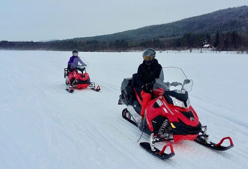 Bed and Breakfast The Lodge Torsby