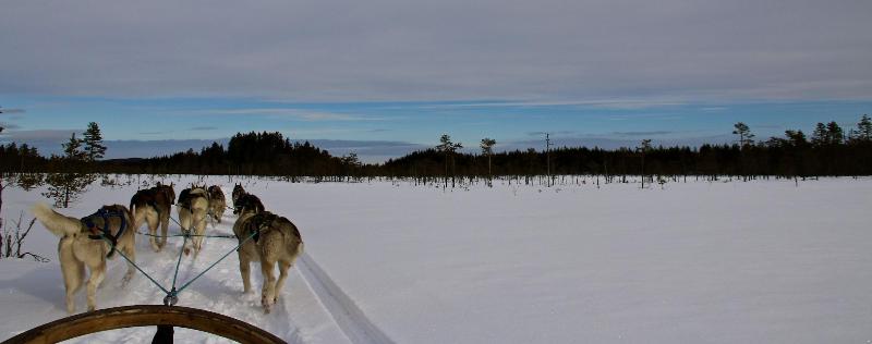 Bed and Breakfast The Lodge Torsby