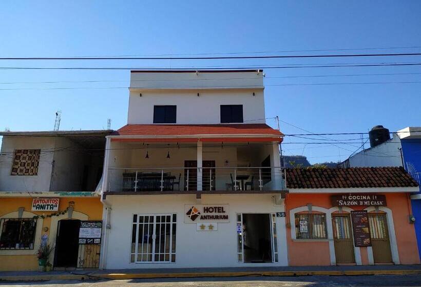 Отель Anthurium