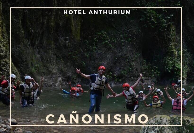 Отель Anthurium