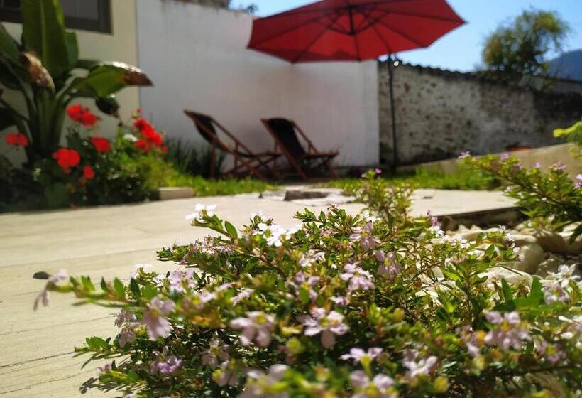 Отель Anthurium