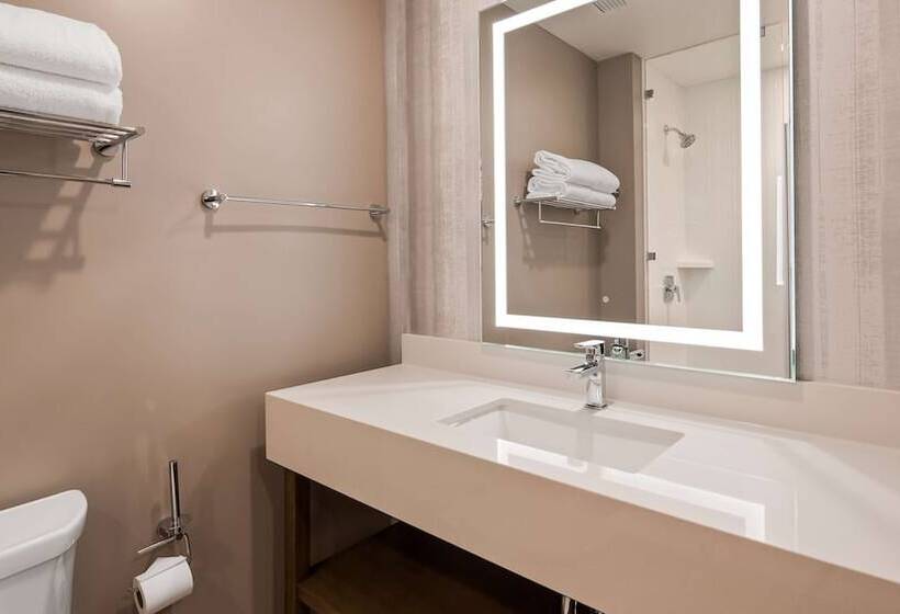 Отель Best Western Plus Settlers Point