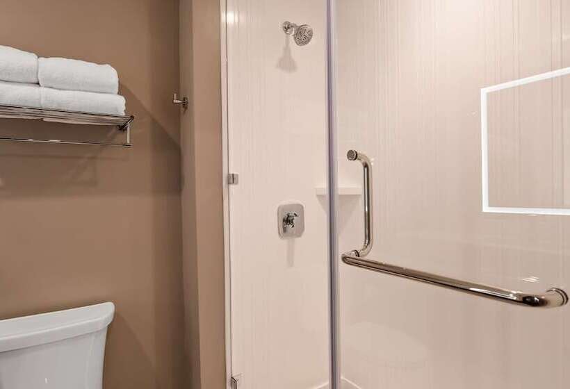 Отель Best Western Plus Settlers Point