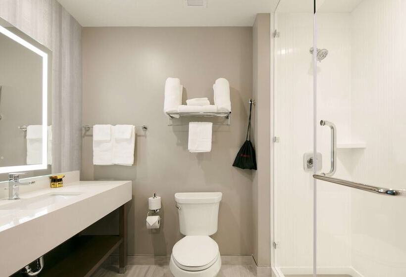 Отель Best Western Plus Settlers Point