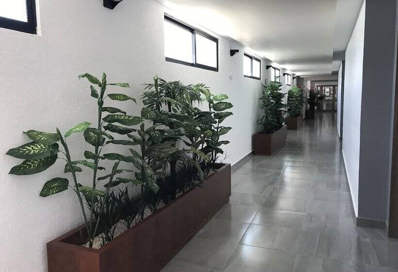 هتل Boutique La Toja Campeche