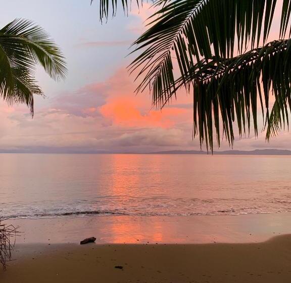 酒店 Catalina S Hideaway