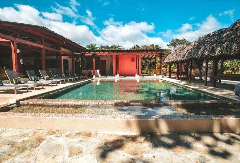 酒店 Catalina S Hideaway